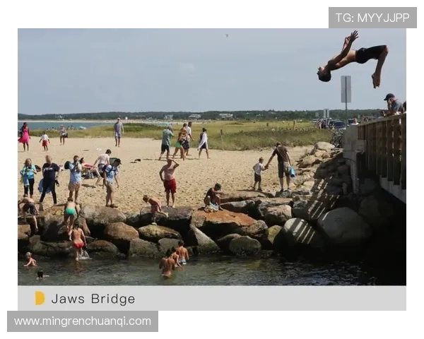 从惊心动魄到优雅入水探索跳水运动背后的力量与艺术 从惊心动魄到优雅入水探索跳水运动背后的力量与艺术