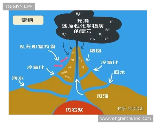 网球运动的发展历程与全球影响力分析:从起源到现代竞技的演变与前景 网球运动的发展历程与全球影响力分析:从起源到现代竞技的演变与前景
