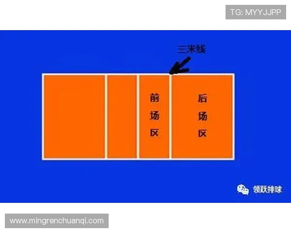 杭州排球队进攻策略分析与失误反思探讨