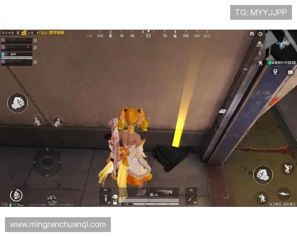 深入探讨和平精英成功背后的策略与黄芳的独特见解 深入探讨和平精英成功背后的策略与黄芳的独特见解