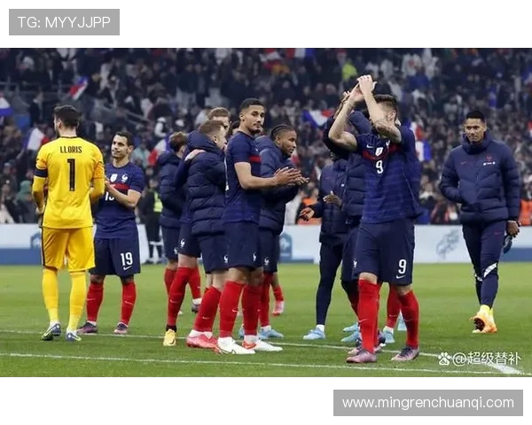 2018年世界杯预选赛法国队与瑞典队激战回顾与精彩瞬间分析